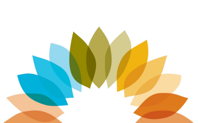 Settlement Data Bulletin Q3 2025